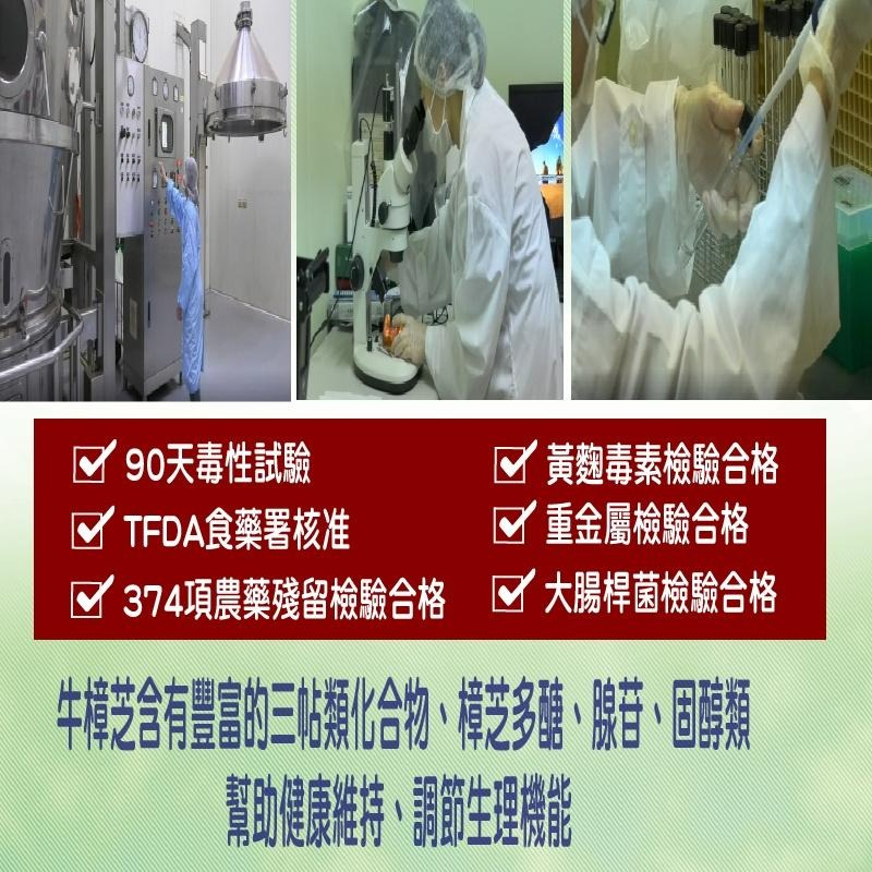 牛樟芝  樟芝王 4倍濃縮牛樟芝膠囊  解救甘苦人生  熬夜加班應酬  多醣體 三帖類-細節圖3