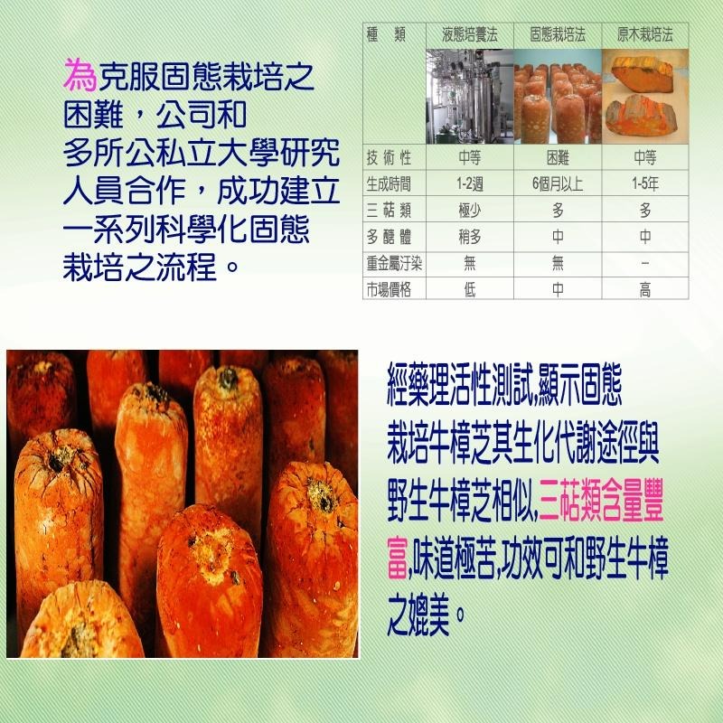 牛樟芝  樟芝王 4倍濃縮牛樟芝膠囊  解救甘苦人生  熬夜加班應酬  多醣體 三帖類-細節圖5