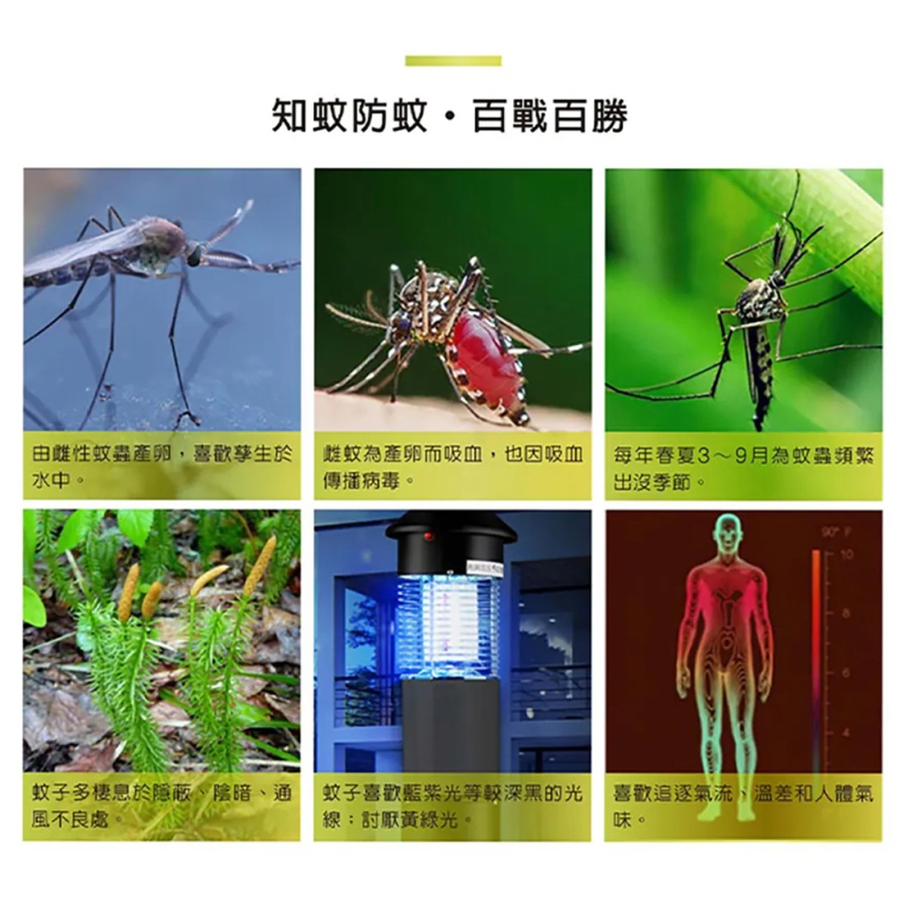 TOYAMA 特亞馬 LED戶外防水防蚊園藝景觀庭院圓型照樹燈-14W聚光型/廣角型-細節圖4