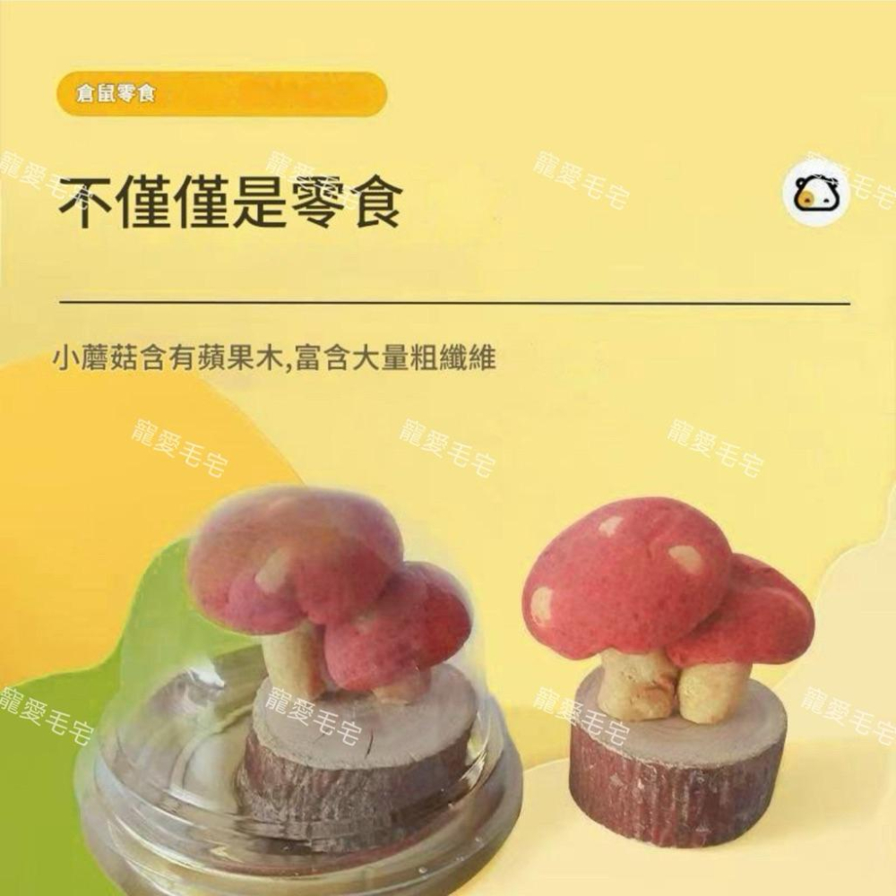寵愛毛宅 倉鼠磨牙零食 蘋果木小蘑菇造型磨牙零食 小寵磨牙棒 倉鼠玩具  小寵造景-細節圖3