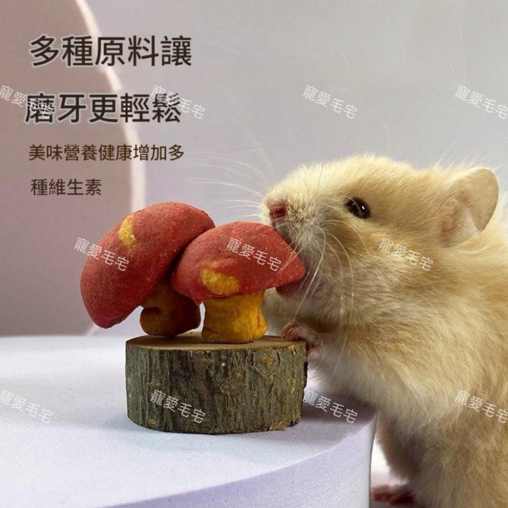 寵愛毛宅 倉鼠磨牙零食 蘋果木小蘑菇造型磨牙零食 小寵磨牙棒 倉鼠玩具  小寵造景-細節圖4