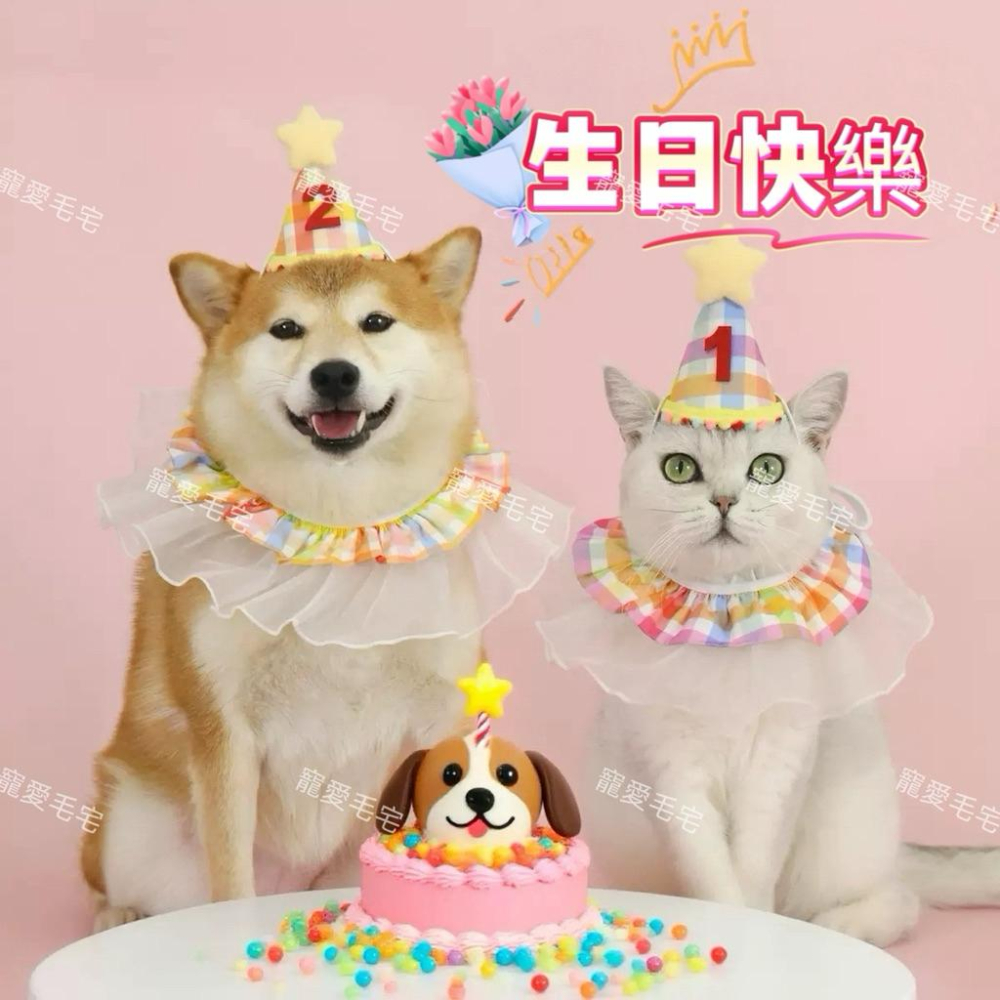 寵愛毛宅 寵物項圈 寵物生日帽 寵物生日項圈 貓咪生日項圈 狗狗生日項圈 貓咪生日帽 狗狗生日帽 寵物生日用品 生日裝扮-細節圖2