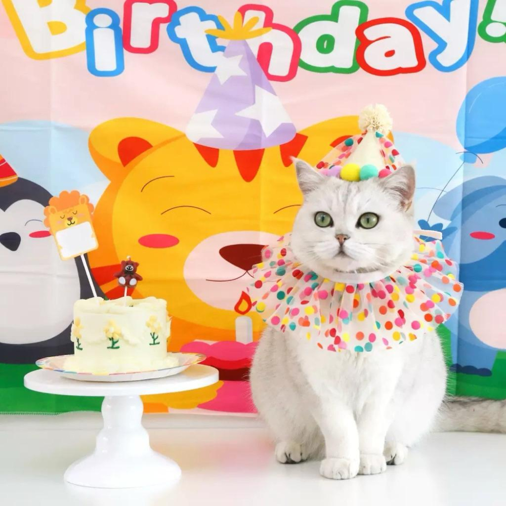 寵愛毛宅 寵物項圈 寵物生日帽 寵物生日項圈 貓咪生日項圈 狗狗生日項圈 貓咪生日帽 狗狗生日帽 寵物生日用品 生日裝扮-細節圖3
