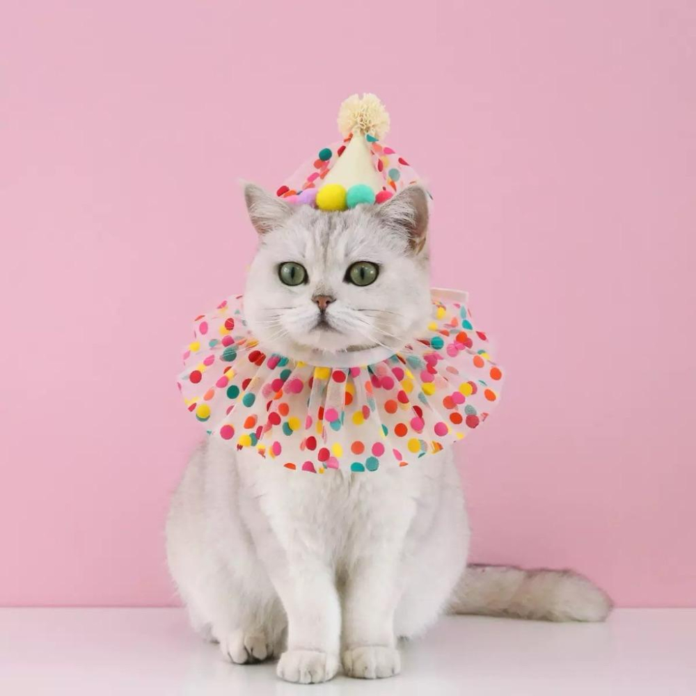 寵愛毛宅 寵物項圈 寵物生日帽 寵物生日項圈 貓咪生日項圈 狗狗生日項圈 貓咪生日帽 狗狗生日帽 寵物生日用品 生日裝扮-細節圖6