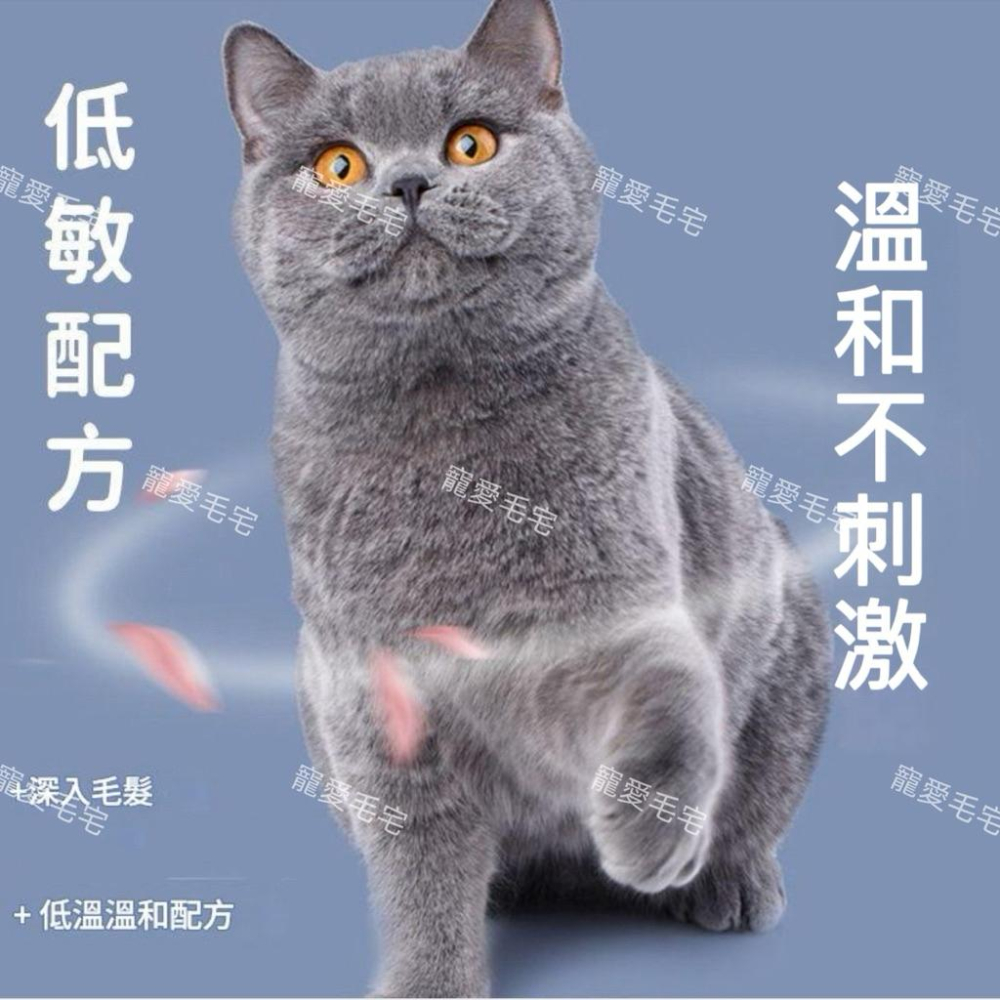 寵愛毛宅 寵物用品 寵物免洗泡沫 寵物沐浴露 寵物洗護 干洗澡慕斯 除臭留香 免水洗清潔沐浴露200ml-細節圖3