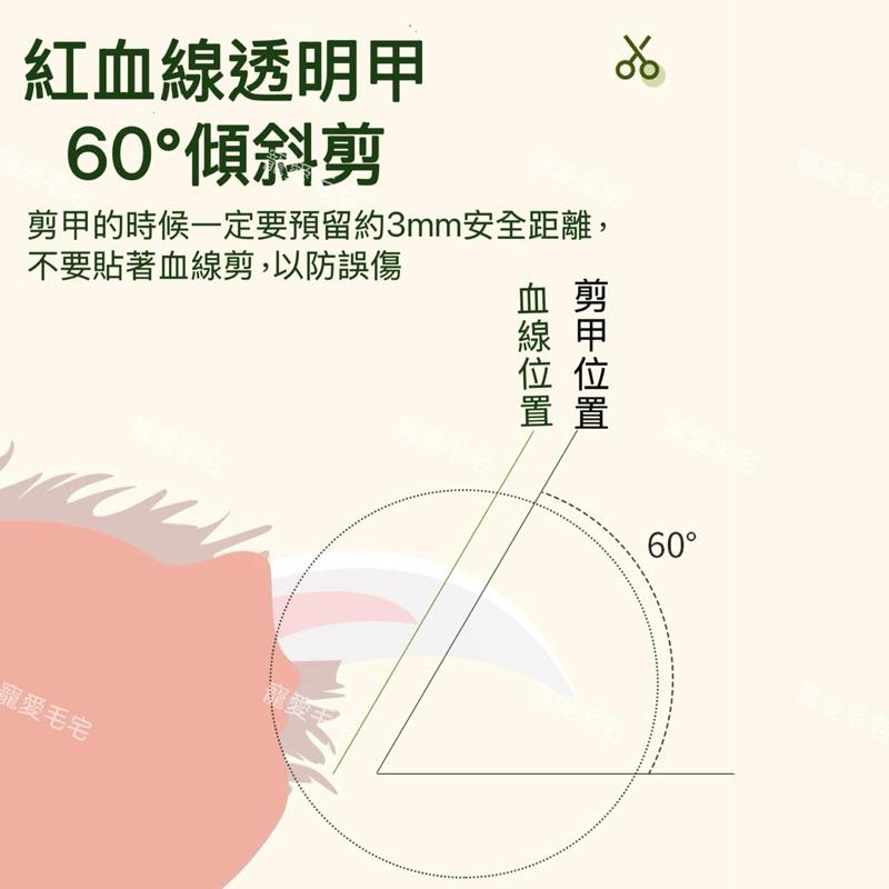 寵愛毛宅 寵物指甲剪 寵物燈照指甲剪 附銼刀 防飛濺 寵物磨甲 燈照指甲剪 貓咪指甲 寵物美容 寵物指甲-細節圖5