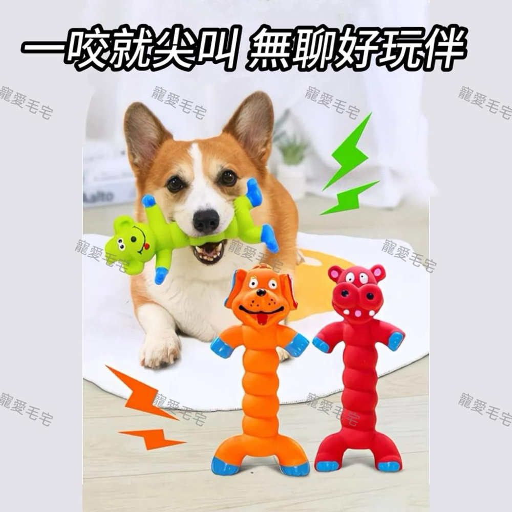 寵愛毛宅 寵物玩具 狗狗發聲玩具 耐咬磨牙訓練狗狗解悶益智玩具 狗狗互動玩具-細節圖3