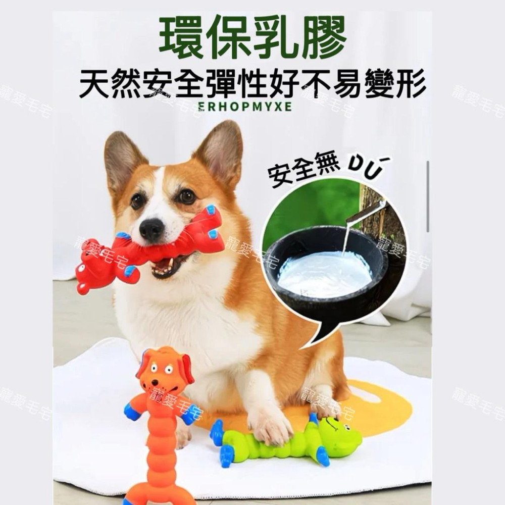 寵愛毛宅 寵物玩具 狗狗發聲玩具 耐咬磨牙訓練狗狗解悶益智玩具 狗狗互動玩具-細節圖4