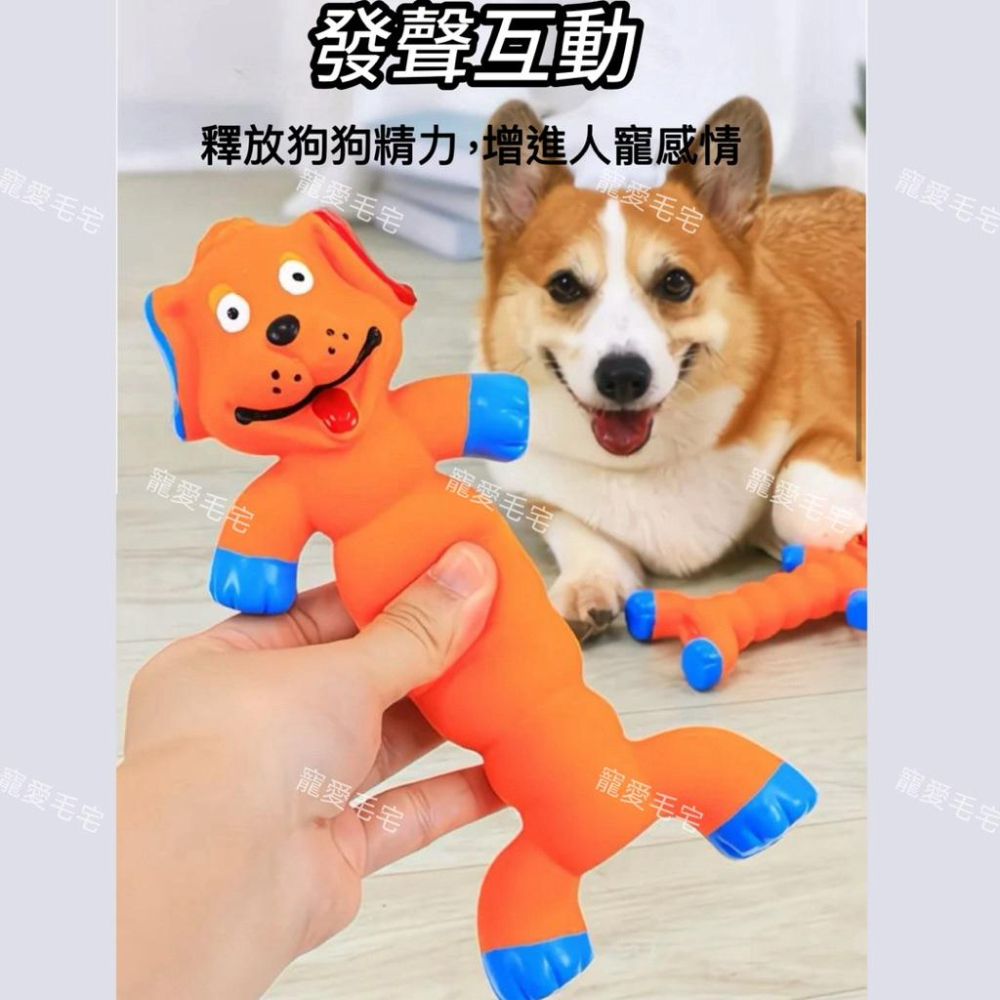 寵愛毛宅 寵物玩具 狗狗發聲玩具 耐咬磨牙訓練狗狗解悶益智玩具 狗狗互動玩具-細節圖5