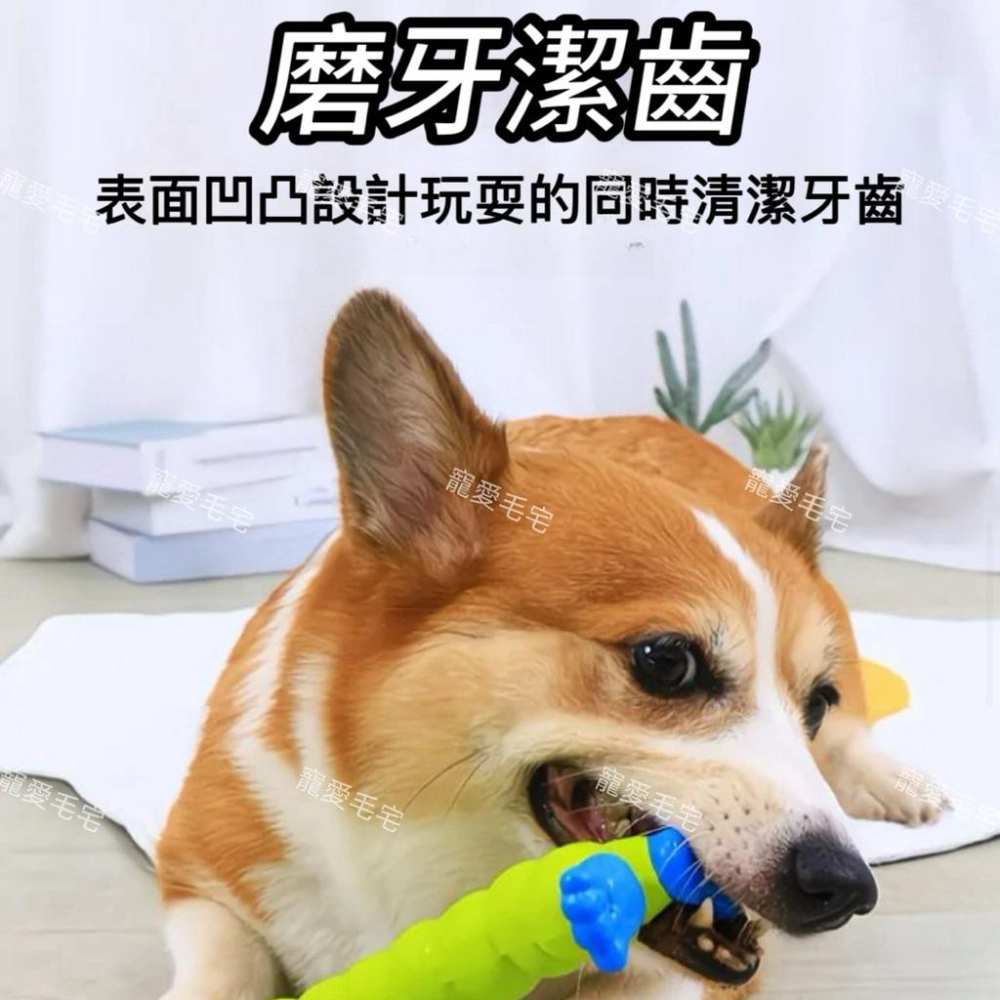 寵愛毛宅 寵物玩具 狗狗發聲玩具 耐咬磨牙訓練狗狗解悶益智玩具 狗狗互動玩具-細節圖6