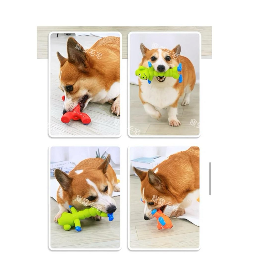 寵愛毛宅 寵物玩具 狗狗發聲玩具 耐咬磨牙訓練狗狗解悶益智玩具 狗狗互動玩具-細節圖7