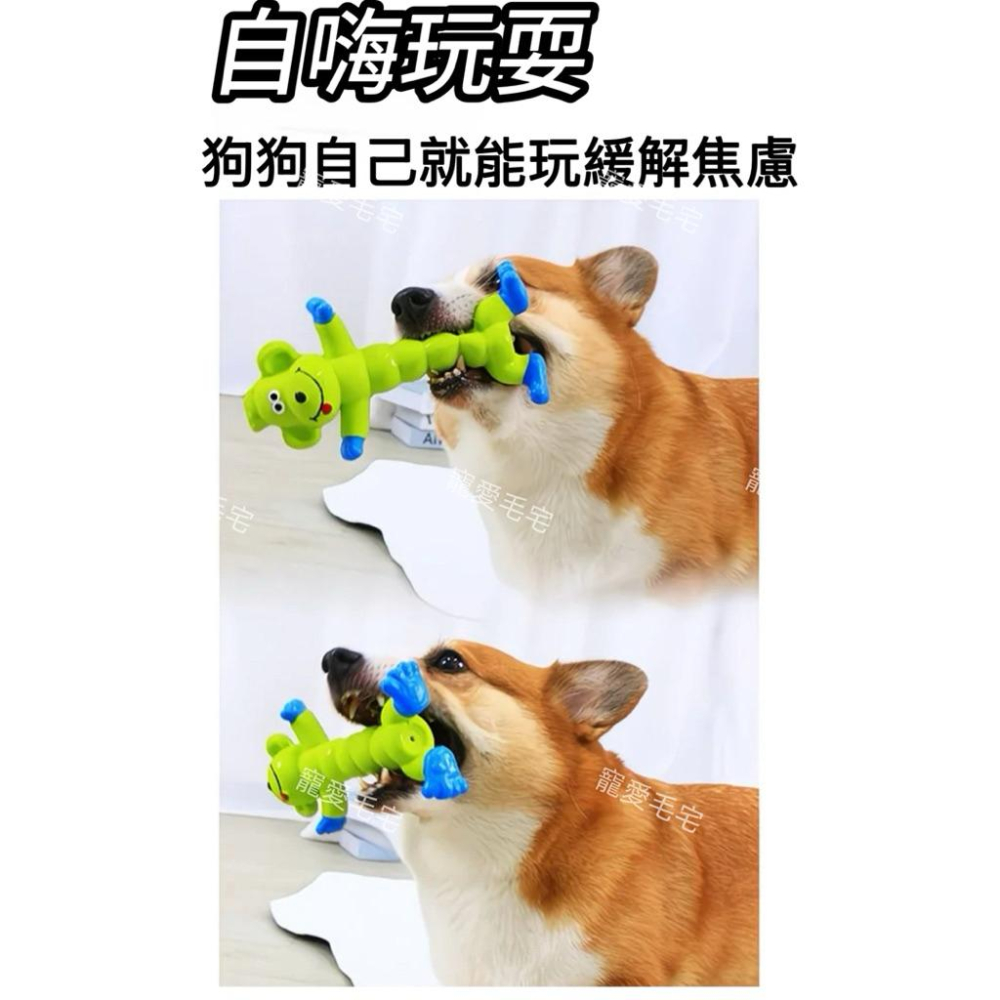 寵愛毛宅 寵物玩具 狗狗發聲玩具 耐咬磨牙訓練狗狗解悶益智玩具 狗狗互動玩具-細節圖8