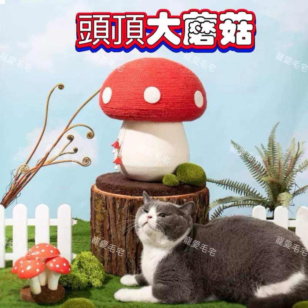 寵愛毛宅 紅蘑菇貓爬架劍麻貓抓板耐磨耐抓貓咪磨爪 貓咪玩具 貓咪劍麻玩具 貓咪磨菇爬架-細節圖2