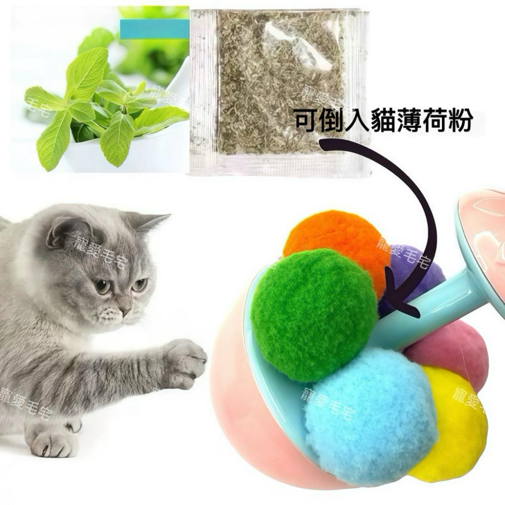 寵愛毛宅 貓咪玩具 毛絨不倒翁貓玩具 薄荷逗貓玩具 自嗨解悶羽毛玩具 貓咪互動玩具 馬卡龍球益智玩具-細節圖3