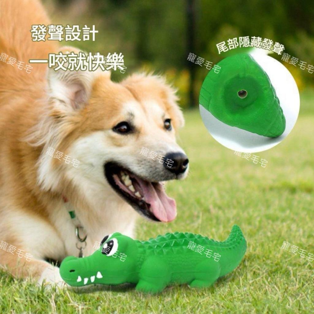 寵愛毛宅 寵物玩具 發聲狗狗玩具 耐咬寵物乳膠玩具 鱷魚造型耐咬磨牙玩具  乳膠發聲玩具-細節圖2