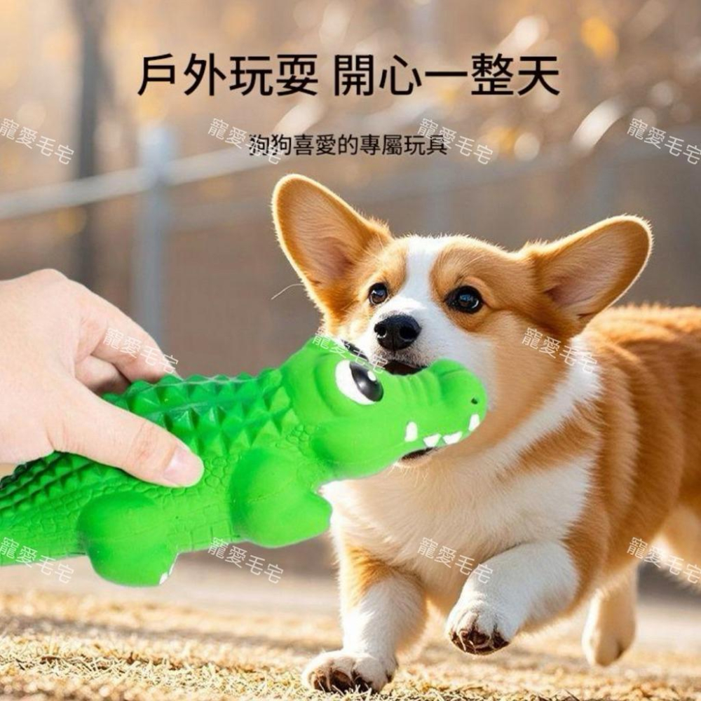 寵愛毛宅 寵物玩具 發聲狗狗玩具 耐咬寵物乳膠玩具 鱷魚造型耐咬磨牙玩具  乳膠發聲玩具-細節圖3