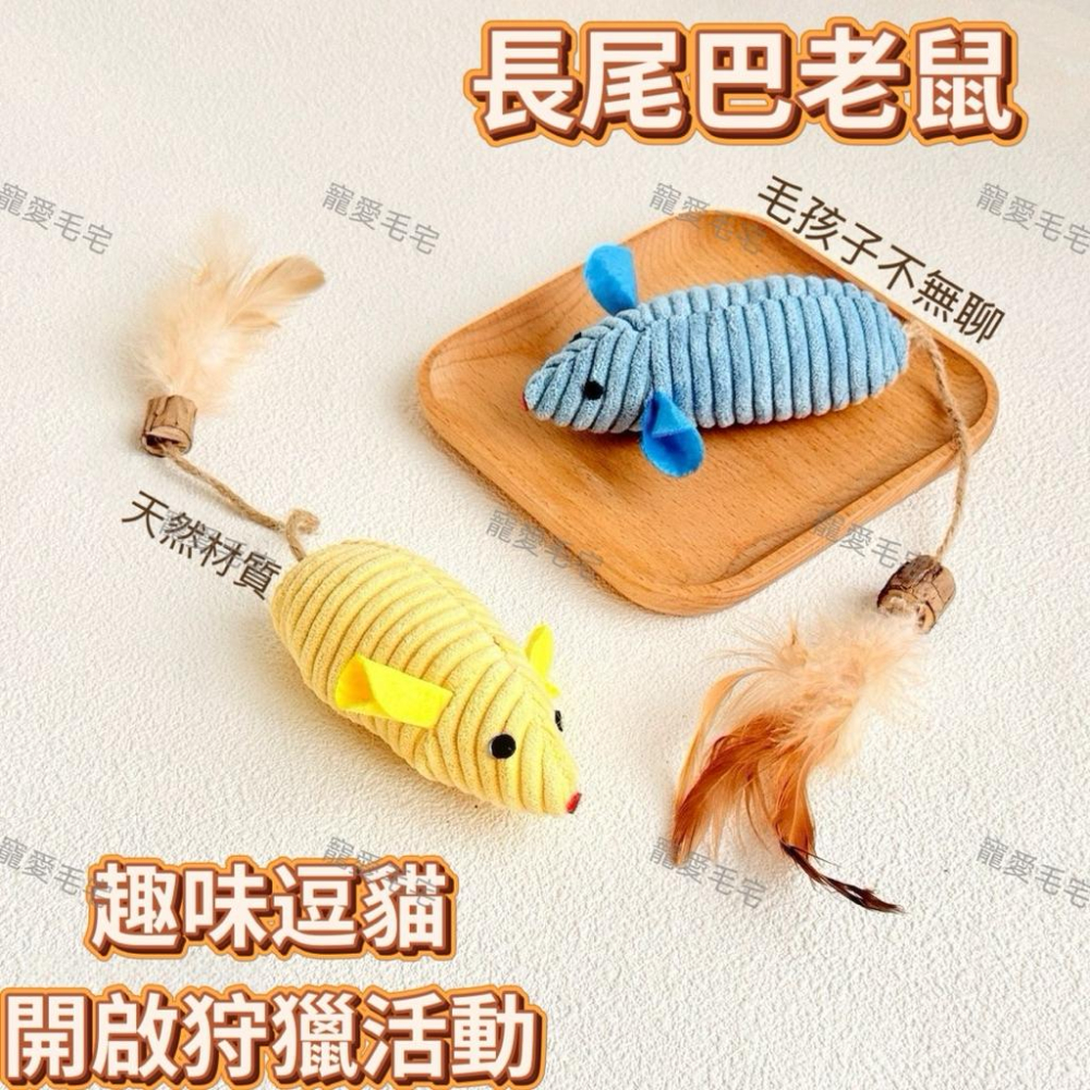 寵愛毛宅 貓咪玩具 長尾巴羽毛老鼠玩具 毛絨老鼠 鈴鐺羽毛老鼠玩具 逗貓玩具 貓咪互動玩具 貓啃咬玩具 毛絨玩具-細節圖2