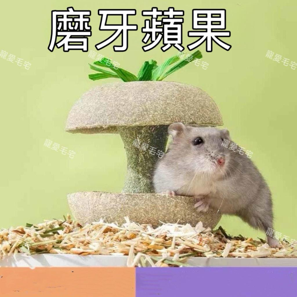 寵愛毛宅 倉鼠蘋果核磨牙棒 金絲熊倉鼠磨牙耐咬玩具 躲避造景玩具-細節圖2