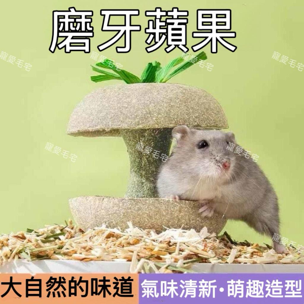 寵愛毛宅 倉鼠蘋果核磨牙棒 金絲熊倉鼠磨牙耐咬玩具 躲避造景玩具-細節圖3