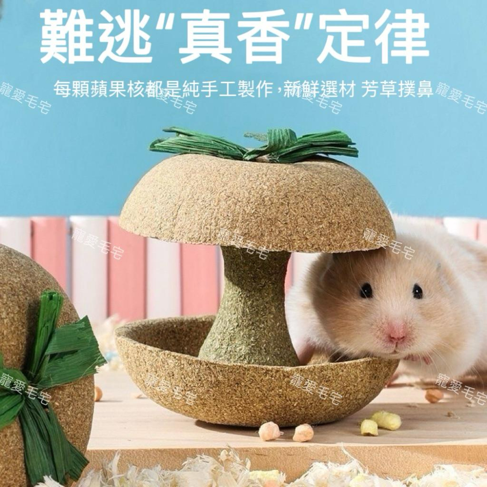 寵愛毛宅 倉鼠蘋果核磨牙棒 金絲熊倉鼠磨牙耐咬玩具 躲避造景玩具-細節圖4