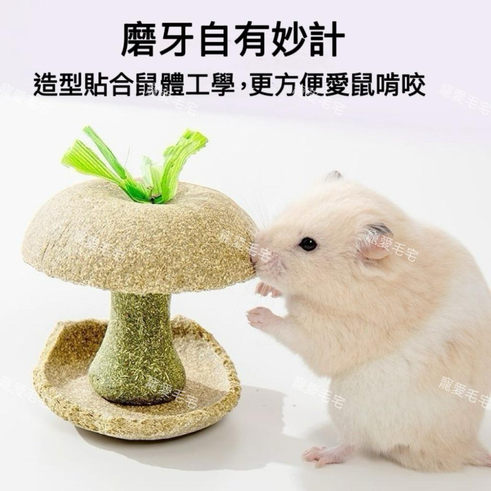 寵愛毛宅 倉鼠蘋果核磨牙棒 金絲熊倉鼠磨牙耐咬玩具 躲避造景玩具-細節圖5