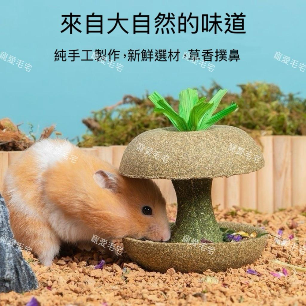 寵愛毛宅 倉鼠蘋果核磨牙棒 金絲熊倉鼠磨牙耐咬玩具 躲避造景玩具-細節圖6