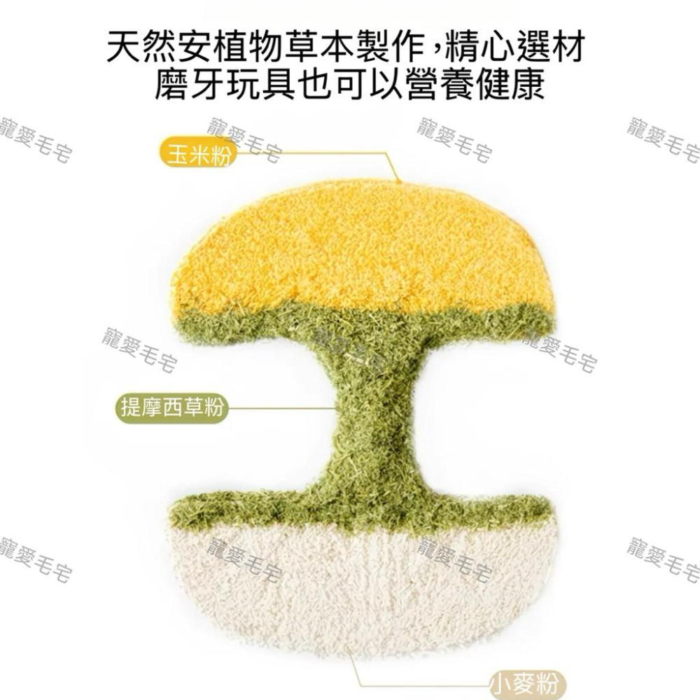 寵愛毛宅 倉鼠蘋果核磨牙棒 金絲熊倉鼠磨牙耐咬玩具 躲避造景玩具-細節圖7