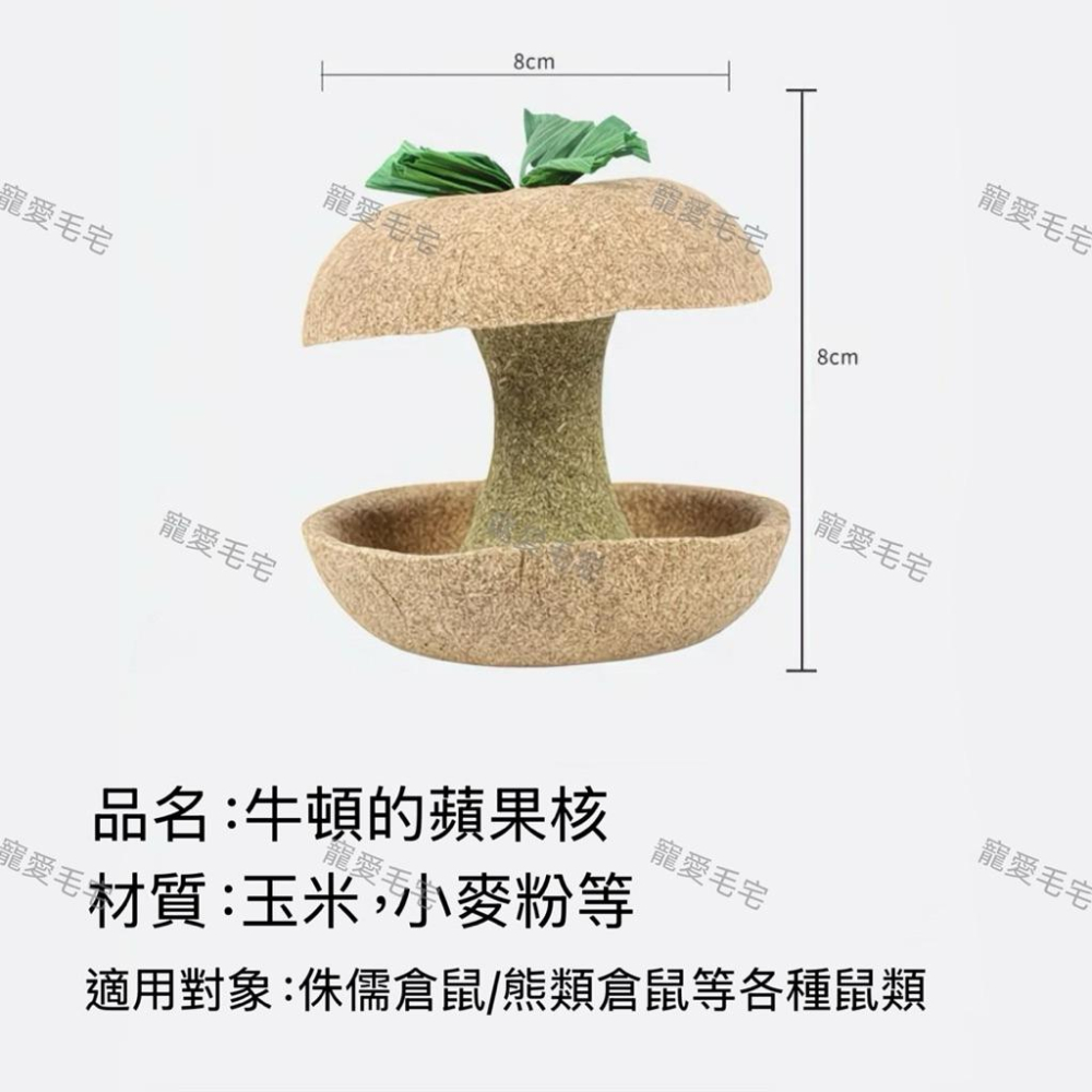 寵愛毛宅 倉鼠蘋果核磨牙棒 金絲熊倉鼠磨牙耐咬玩具 躲避造景玩具-細節圖8
