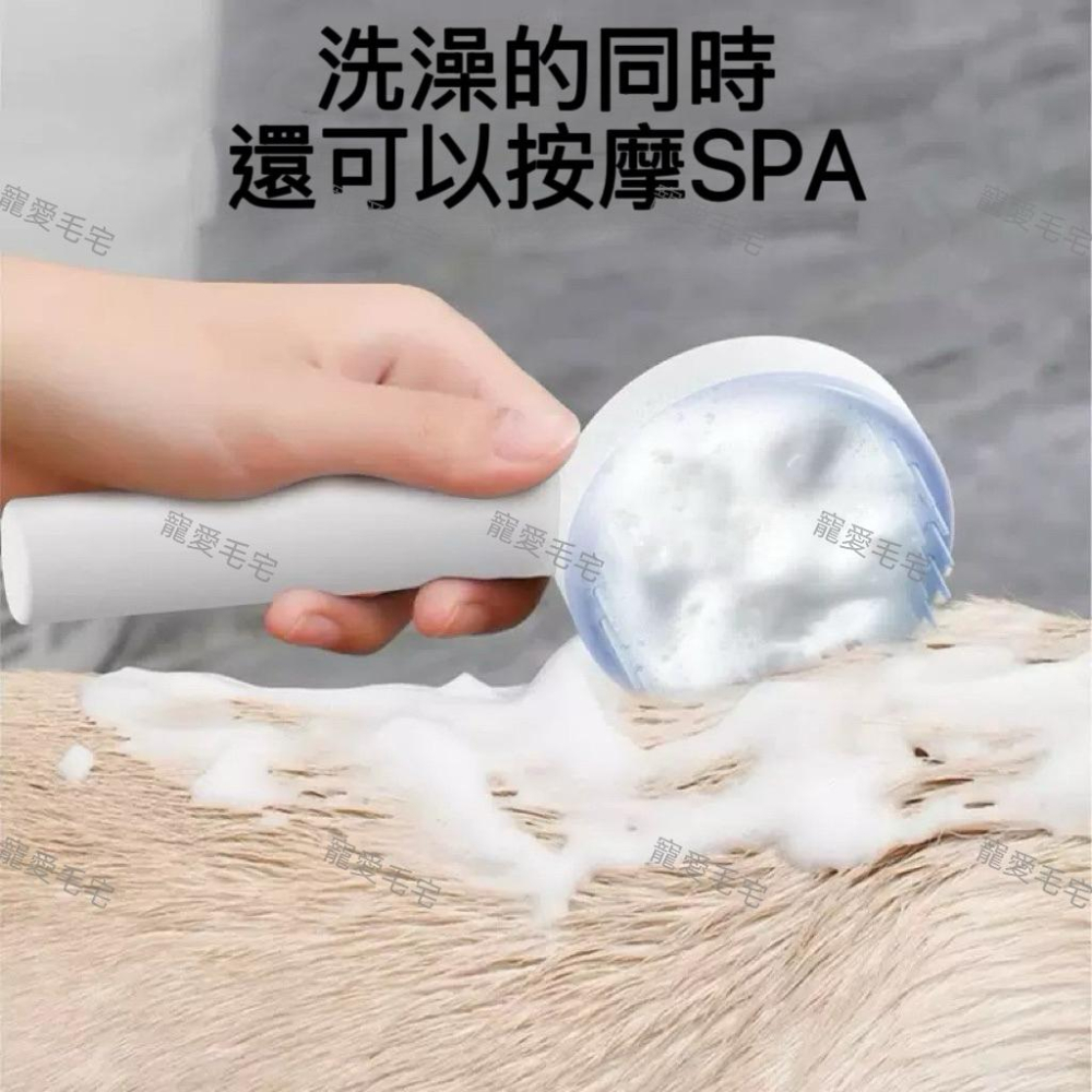 寵愛毛宅 寵物用品 寵物清潔梳 寵物祛浮毛梳 狗狗脫毛刷 寵物洗澡刷 干濕兩用寵物自潔刷 除毛梳 貓狗除毛 洗澡刷-細節圖4