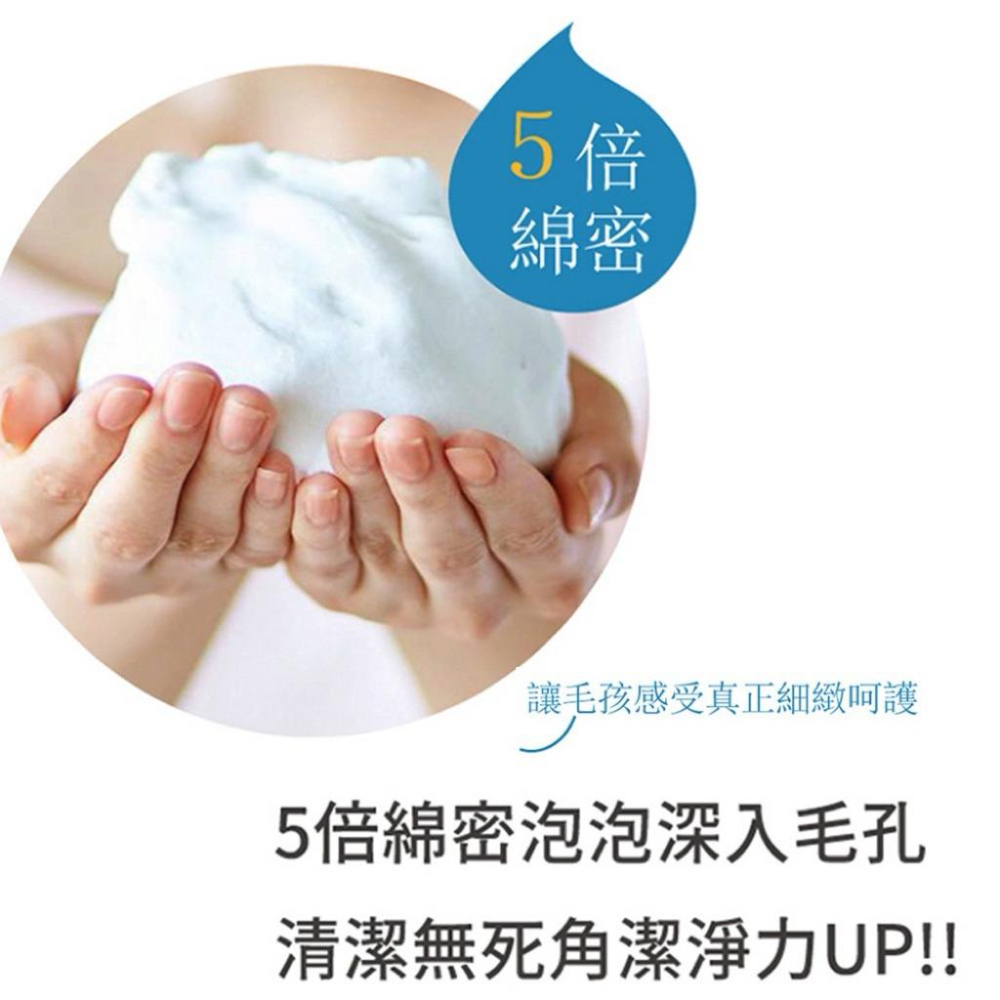 毛毛咪呀 全效護理洗毛慕絲430g 寵物洗護慕斯 寵物洗澡 寵物沐浴露 貓犬用-細節圖5