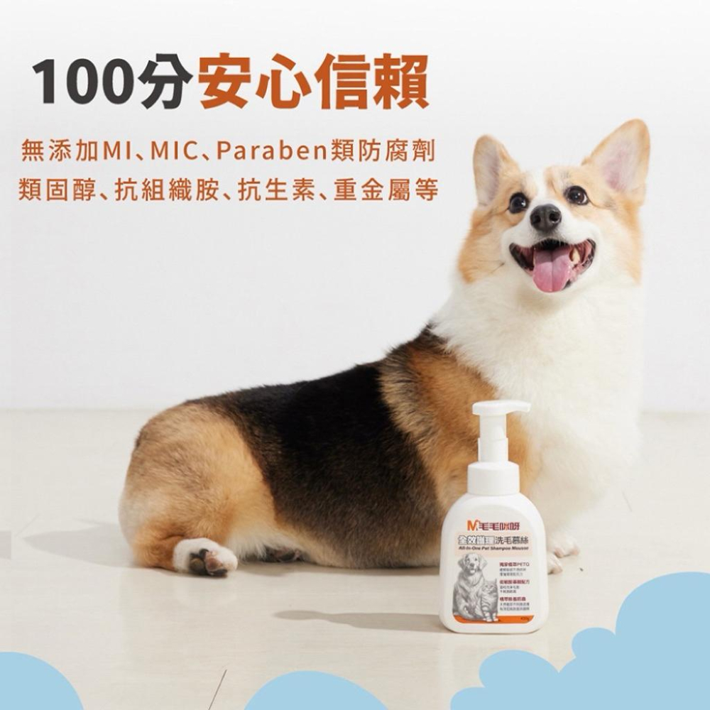 毛毛咪呀 全效護理洗毛慕絲430g 寵物洗護慕斯 寵物洗澡 寵物沐浴露 貓犬用-細節圖6