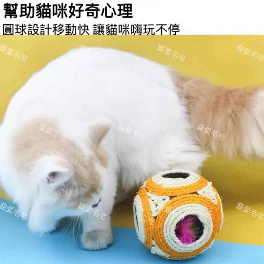 寵愛毛宅 貓咪玩具 逗貓玩具 貓咪互動益智6孔玩具球 劍麻球 貓咪發聲球 貓咪羽毛玩具-細節圖2