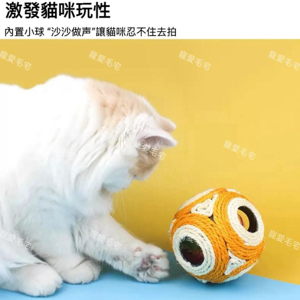 寵愛毛宅 貓咪玩具 逗貓玩具 貓咪互動益智6孔玩具球 劍麻球 貓咪發聲球 貓咪羽毛玩具-細節圖3