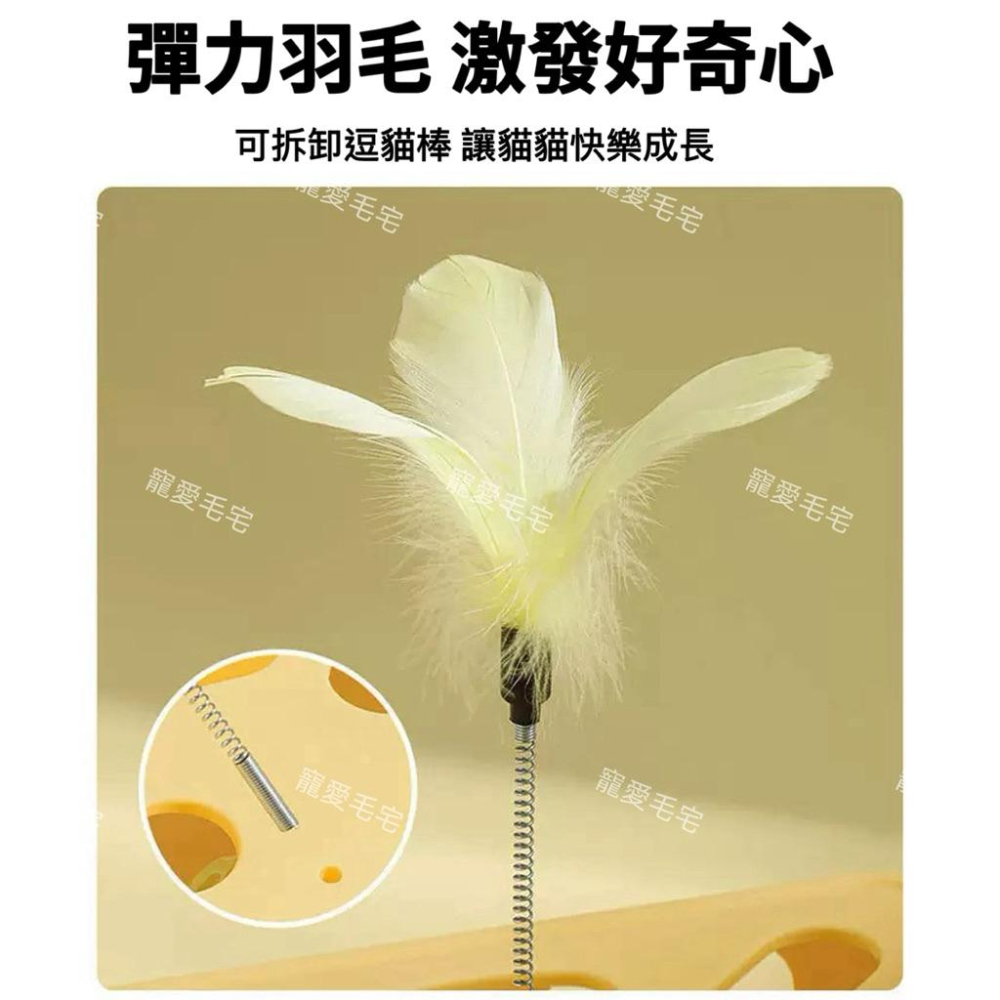 寵愛毛宅 貓咪玩具 逗貓玩具 貓咪自嗨解悶玩具 羽毛鈴鐺逗貓玩具 益智貓咪迷宮玩具-細節圖4