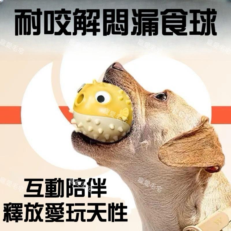 寵愛毛宅 寵物漏食球 狗狗玩具 河豚魚 狗狗耐咬橡膠玩具 狗狗咬咬球 狗狗漏食玩具 狗狗漏食球 寵物自嗨解-細節圖2