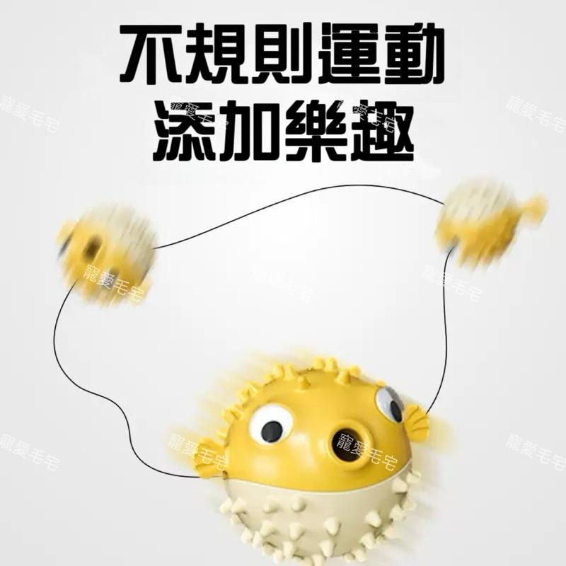 寵愛毛宅 寵物漏食球 狗狗玩具 河豚魚 狗狗耐咬橡膠玩具 狗狗咬咬球 狗狗漏食玩具 狗狗漏食球 寵物自嗨解-細節圖3