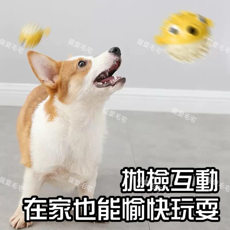 寵愛毛宅 寵物漏食球 狗狗玩具 河豚魚 狗狗耐咬橡膠玩具 狗狗咬咬球 狗狗漏食玩具 狗狗漏食球 寵物自嗨解-細節圖5