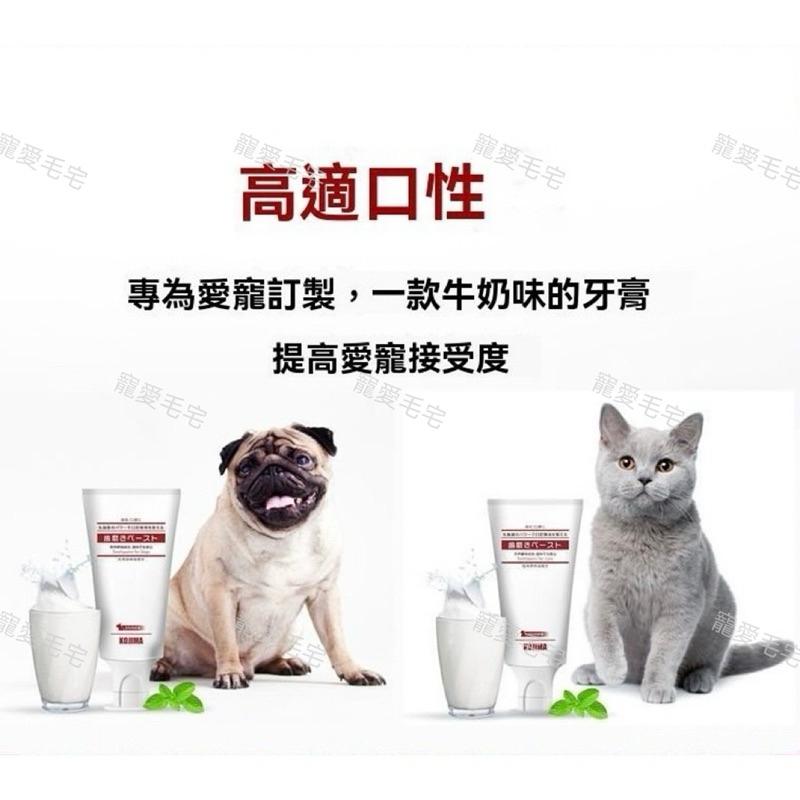 寵愛毛宅 日本KOJIMA 犬用 貓用牙膏 寵物牙膏 牙膏 狗牙膏 乳酸菌牙膏 液體牙膏  牙齒清潔 口腔護理 寵物牙刷-細節圖6