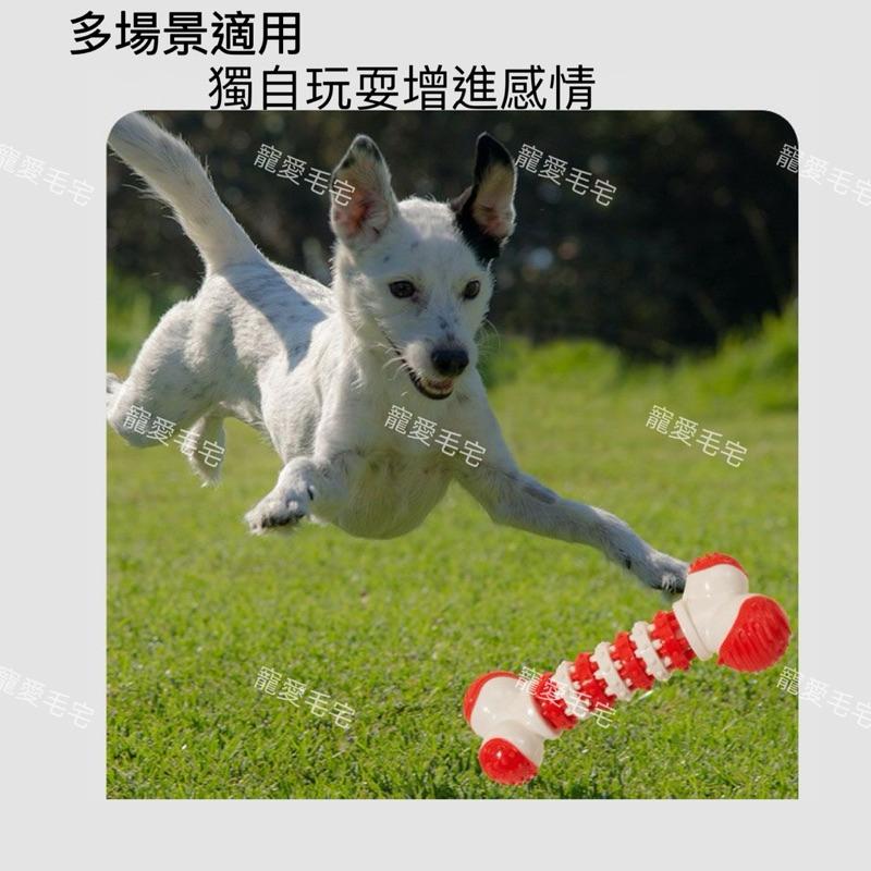 寵愛毛宅 寵物玩具 狗狗玩具 齒輪玩具 骨頭玩具 耐咬耐磨 拼色骨頭玩具 磨牙玩具-細節圖2
