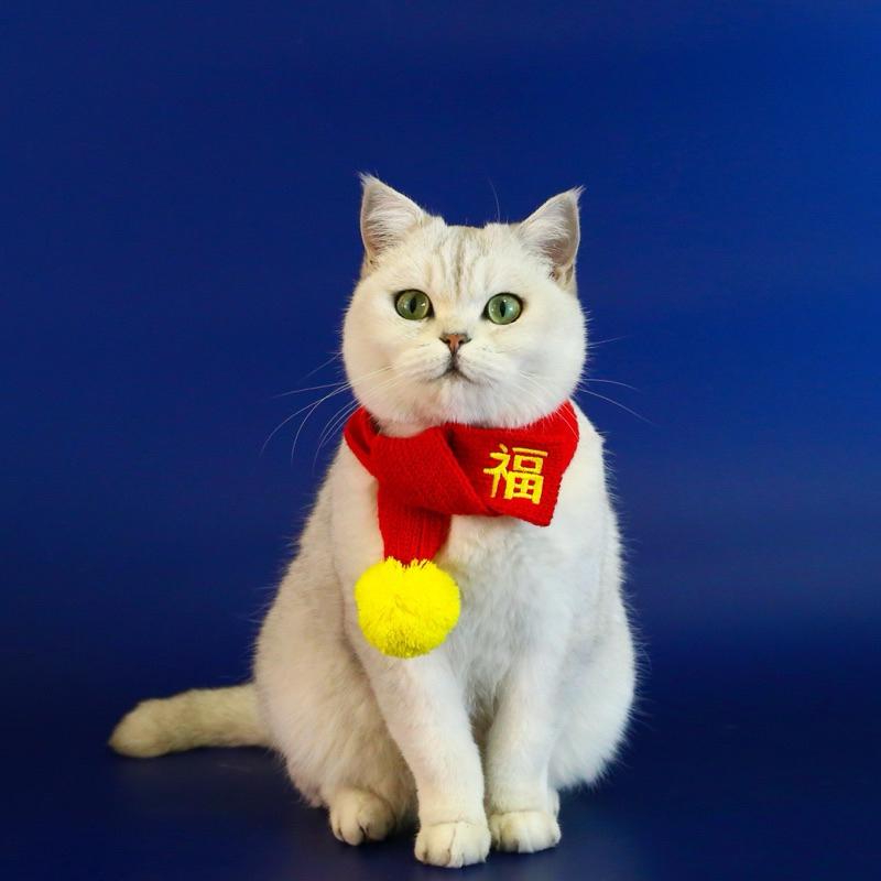 寵愛毛宅 寵物新年項圈 寵物新年圍巾貓咪新年圍巾 狗狗新年圍巾 寵物新年福字圍巾 寵物新年頸部裝飾-細節圖5