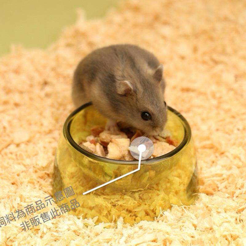 寵愛毛宅 倉鼠食盆 倉鼠碗 金絲熊碗 波利鼠碗 小寵食盆 小動物食盆 寵物鼠食盆  金絲熊食盆 黃金鼠輔食碗 倉鼠主食碗-細節圖3