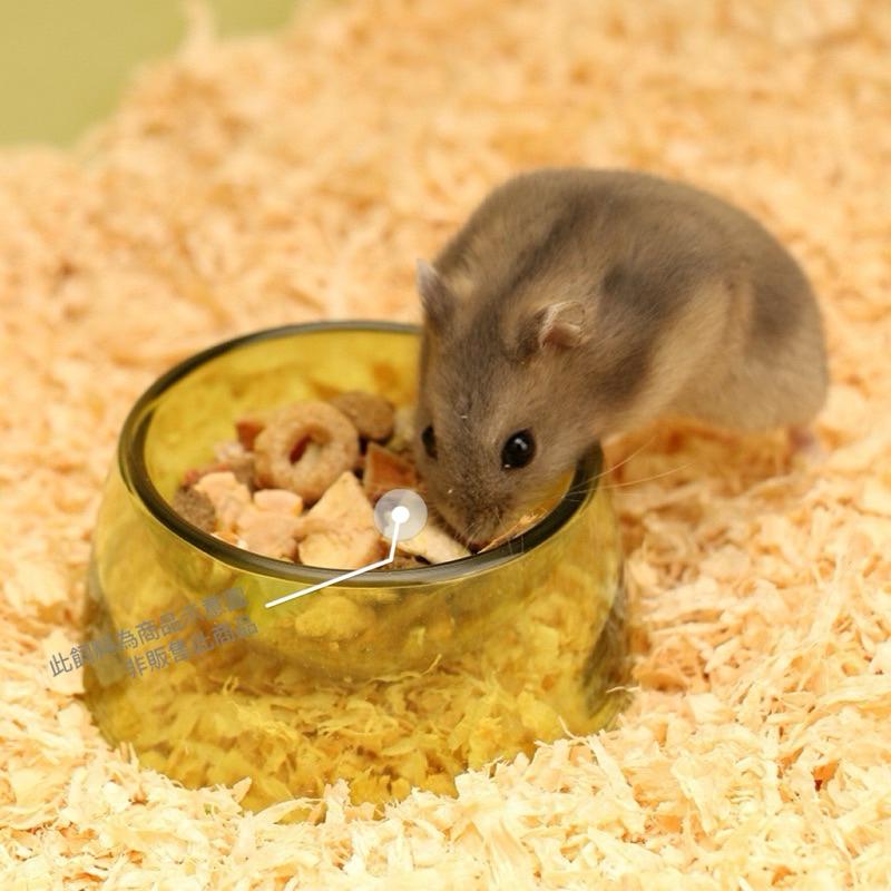 寵愛毛宅 倉鼠食盆 倉鼠碗 金絲熊碗 波利鼠碗 小寵食盆 小動物食盆 寵物鼠食盆  金絲熊食盆 黃金鼠輔食碗 倉鼠主食碗-細節圖4