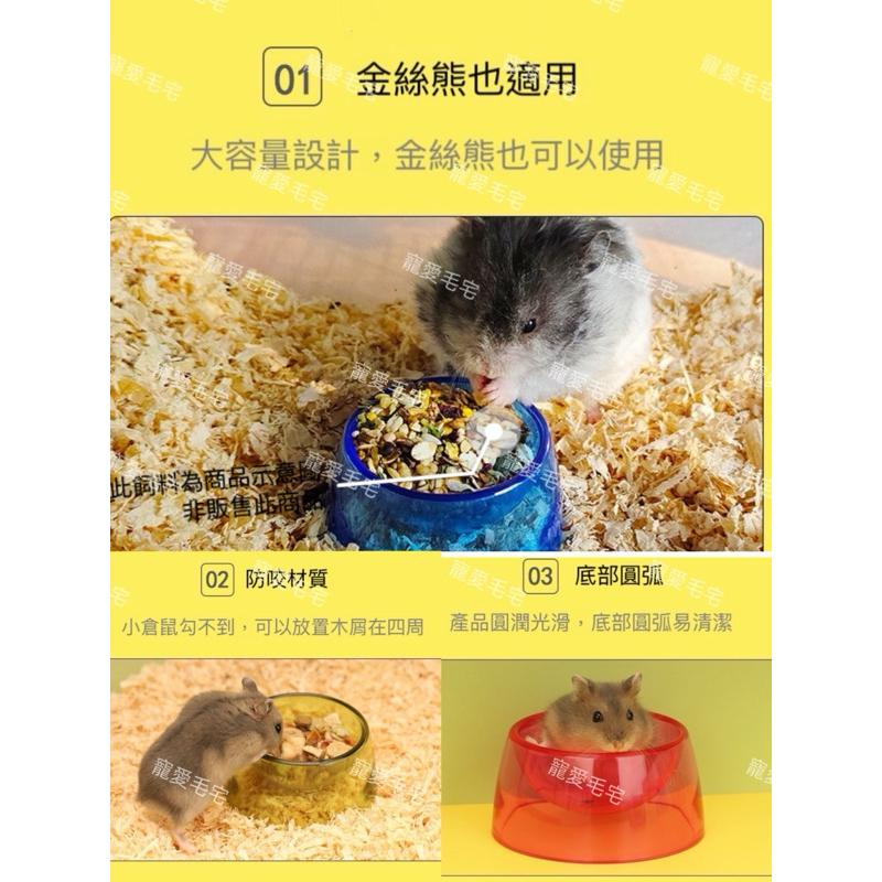 寵愛毛宅 倉鼠食盆 倉鼠碗 金絲熊碗 波利鼠碗 小寵食盆 小動物食盆 寵物鼠食盆  金絲熊食盆 黃金鼠輔食碗 倉鼠主食碗-細節圖6
