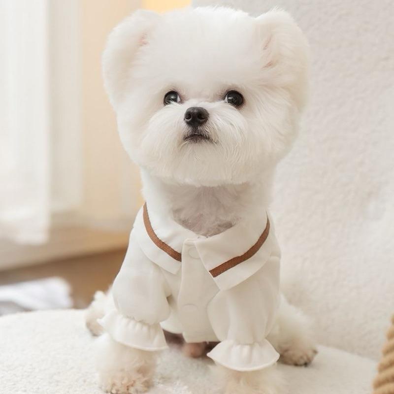 寵愛毛宅 新款 寵物衣服 寵物保暖 小熊印花POLO領秋冬寵物衣服 狗狗衣服 貓咪衣服  貓咪保暖衣服 狗狗保暖衣服-細節圖5