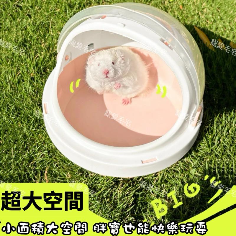 寵愛毛宅 倉鼠外出籠 倉鼠籠子 倉鼠外出 倉鼠外出包 UFO倉鼠籠 倉鼠外出盒 外出提籠 倉鼠用品 附水壺-細節圖4