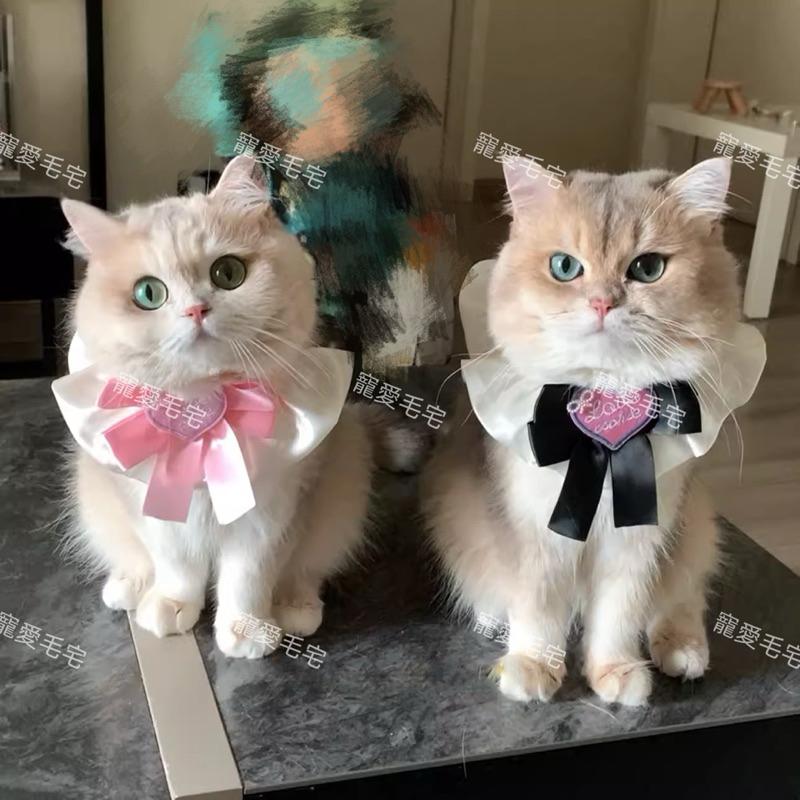 寵愛毛宅 新品寵物項圈 貓咪項圈 狗狗項圈 蝴蝶結項圈 寵物公主風項圈 寵物頸部裝飾-細節圖2