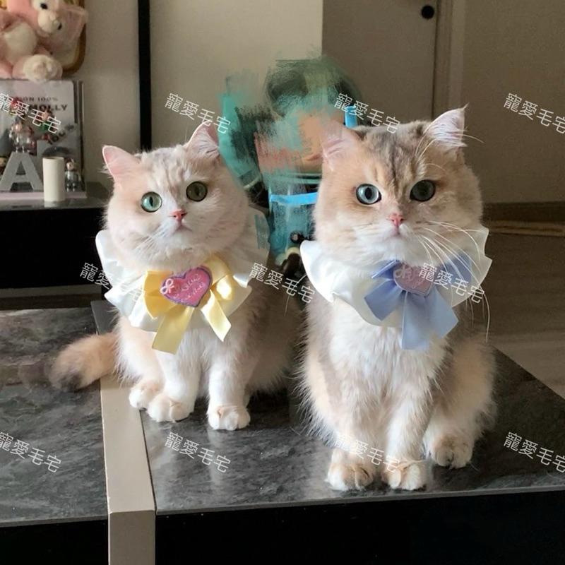 寵愛毛宅 新品寵物項圈 貓咪項圈 狗狗項圈 蝴蝶結項圈 寵物公主風項圈 寵物頸部裝飾-細節圖3