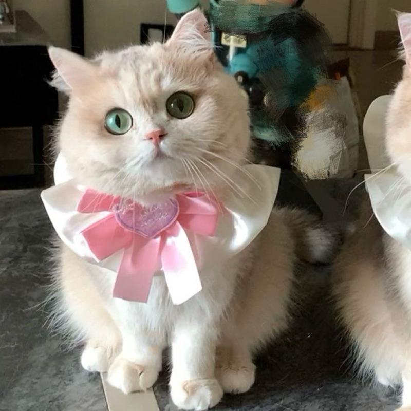 寵愛毛宅 新品寵物項圈 貓咪項圈 狗狗項圈 蝴蝶結項圈 寵物公主風項圈 寵物頸部裝飾-細節圖4