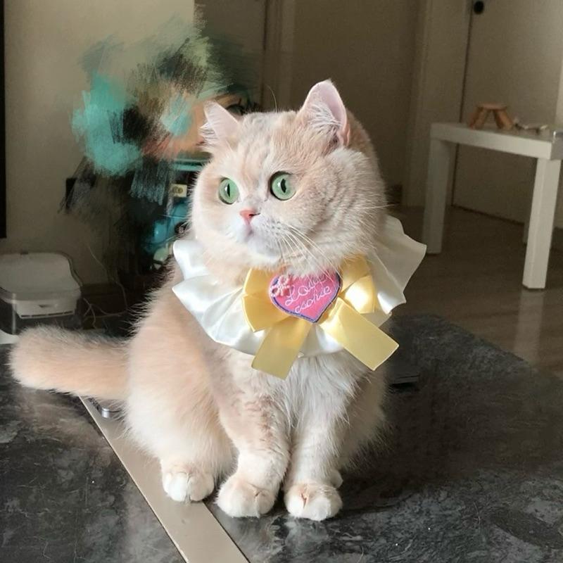 寵愛毛宅 新品寵物項圈 貓咪項圈 狗狗項圈 蝴蝶結項圈 寵物公主風項圈 寵物頸部裝飾-細節圖5