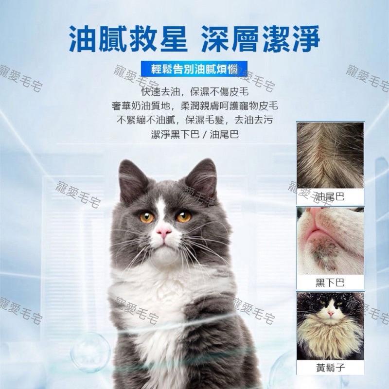寵愛毛宅 KOJIMA貓咪去油膏 黑下巴去油膏 貓粉刺 貓咪去油  黑下巴清潔 貓咪黑下巴 貓咪清潔 貓清潔 犬貓去油-細節圖4